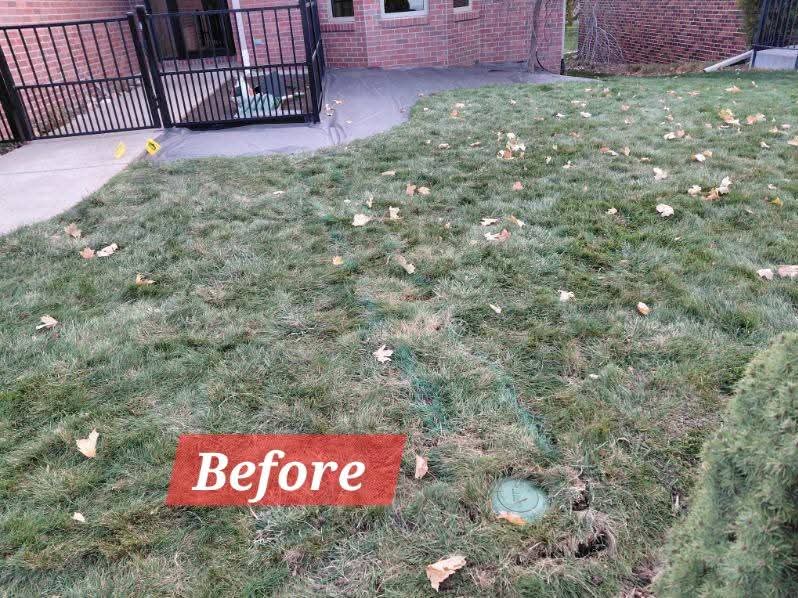 Before: a plain front lawn along the house