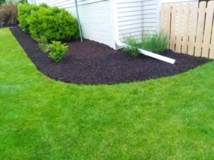 A mulch bed with clean edging